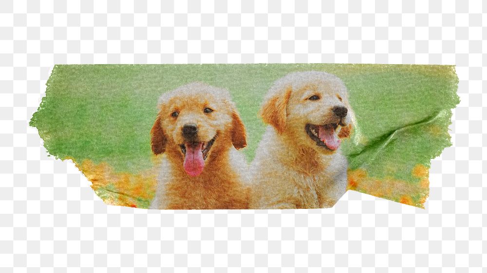 Golden Retriever png pet puppies sticker, washi tape, transparent background