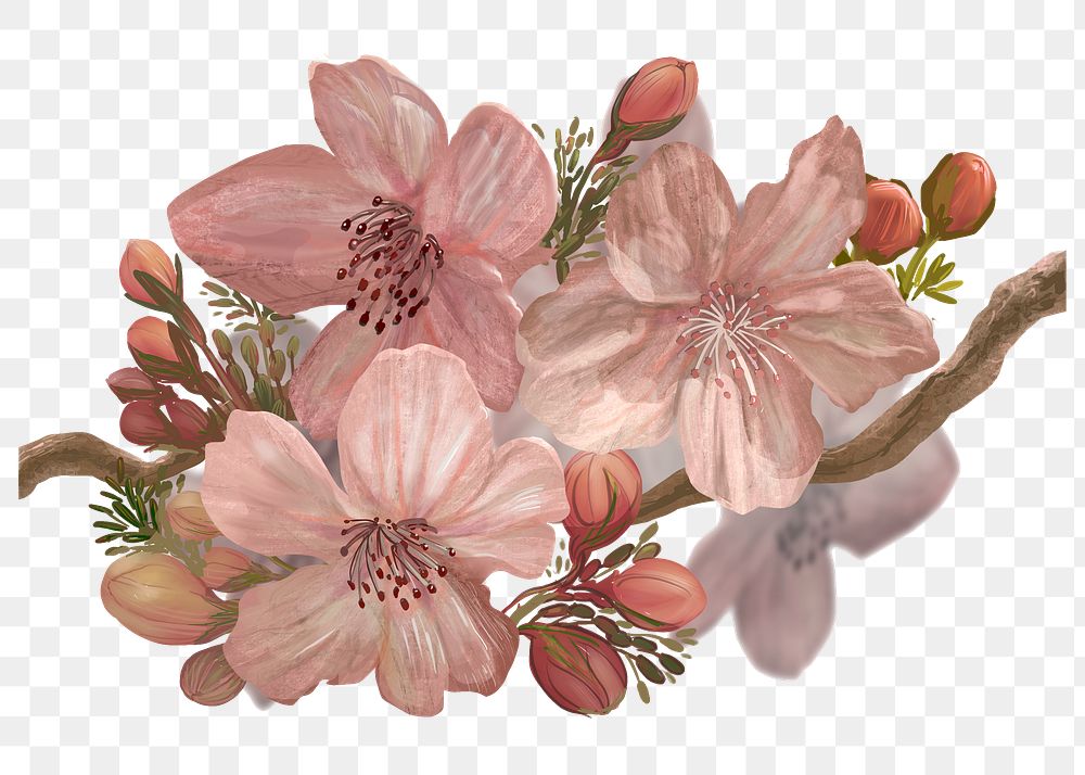 Sakura flower png sticker, cherry blossom, Japanese illustration