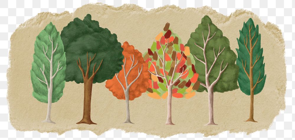 Autumn trees png sticker, ripped paper, transparent background