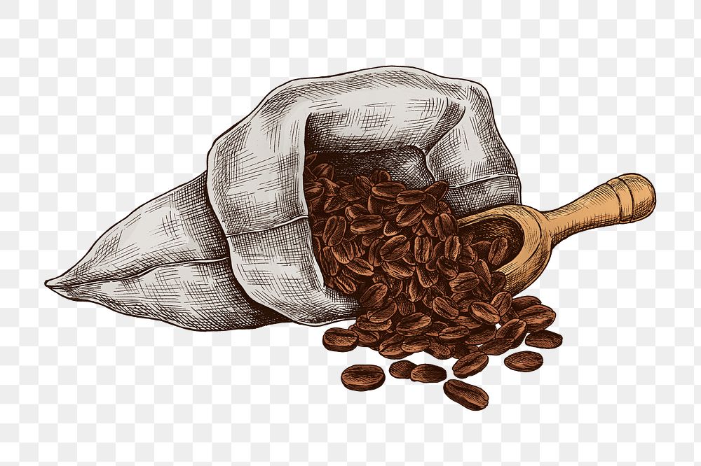 Coffee beans png vintage sticker illustration, transparent background