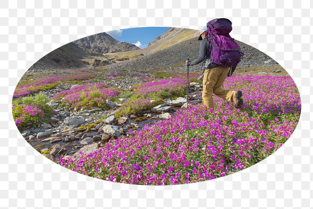 Png traveler in flower field sticker, vacation photo badge, transparent background