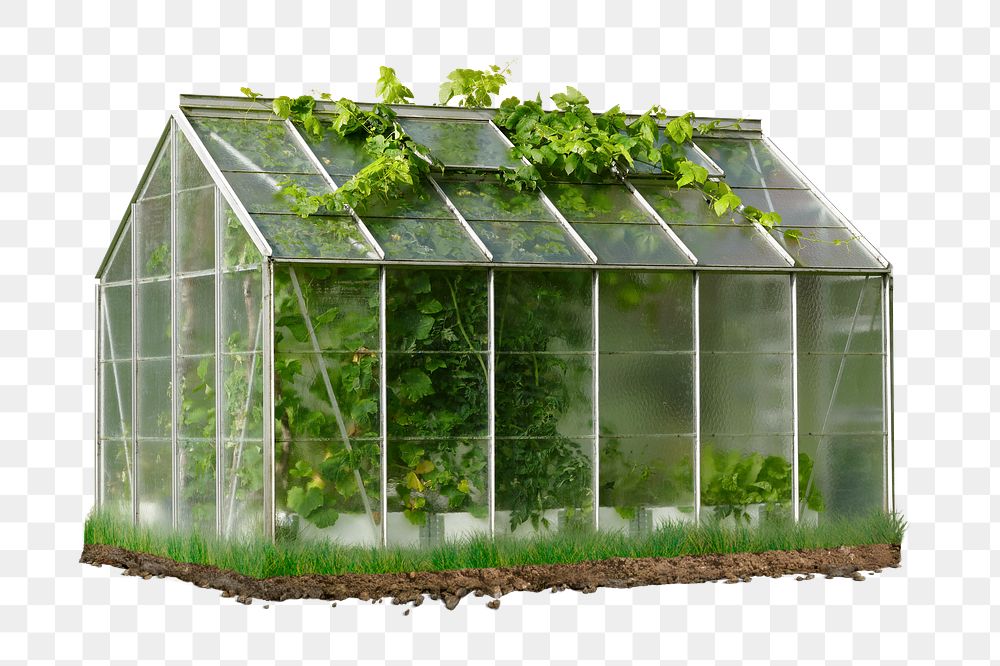 PNG Small greenhouse, collage element, transparent background