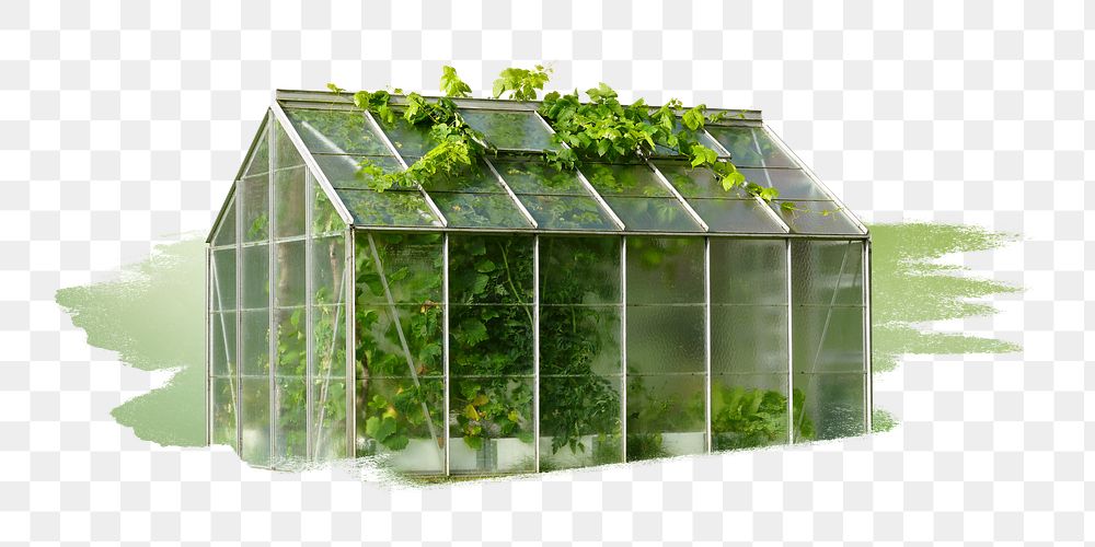 PNG Small greenhouse, collage element, transparent background