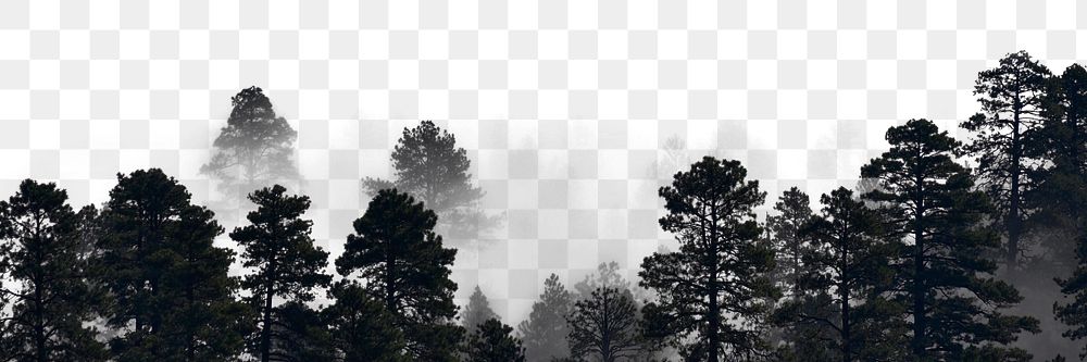 Forest png border, transparent background