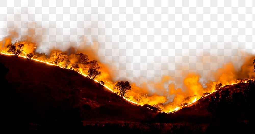 Forest fire png border sticker, natural disaster on transparent background