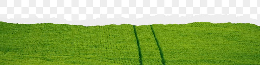 Green farmland png border, torn paper design, transparent background