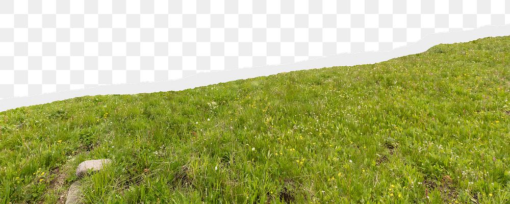 Green hill png border, torn paper design, transparent background