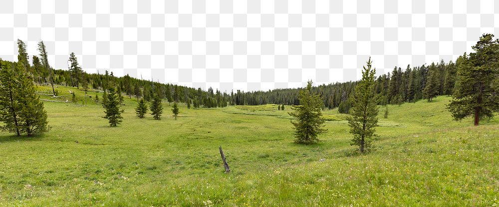 Forest meadow png border, transparent background