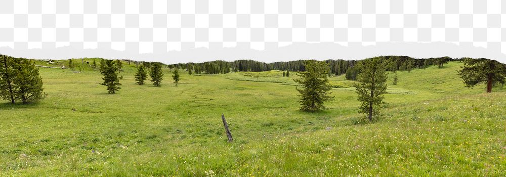 Forest meadow png border, torn paper design, transparent background