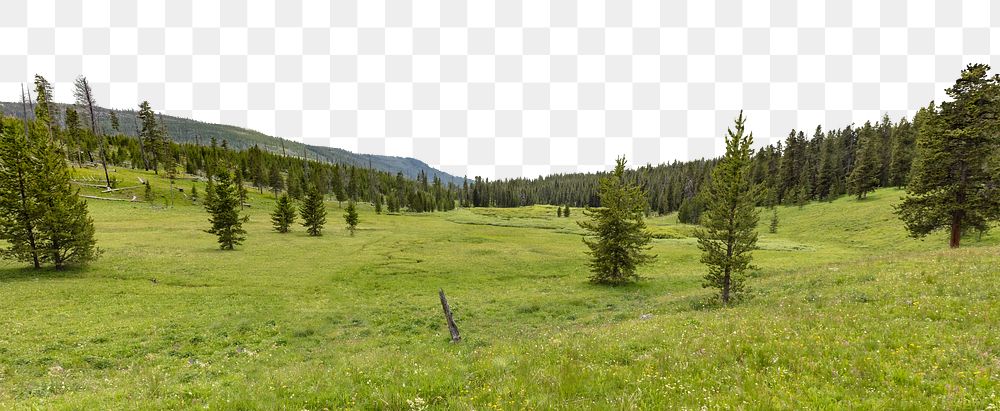 Forest meadow png border, transparent background