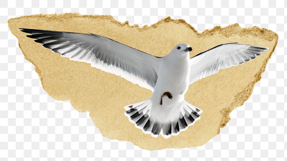 Flying seagull png ripped paper sticker, bird, animal graphic, transparent background