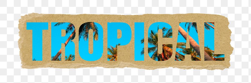 Tropical png typography, beach island palm trees, torn paper in transparent background
