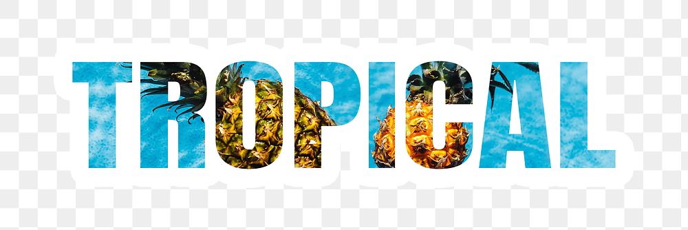 Tropical png, pineapple floating on water, transparent background