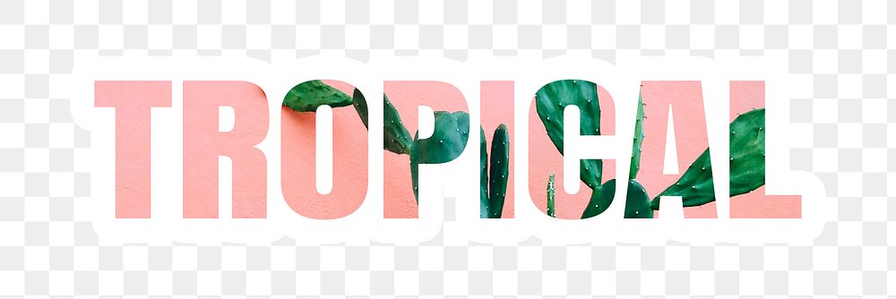 Tropical png word, cactus in pink, transparent background