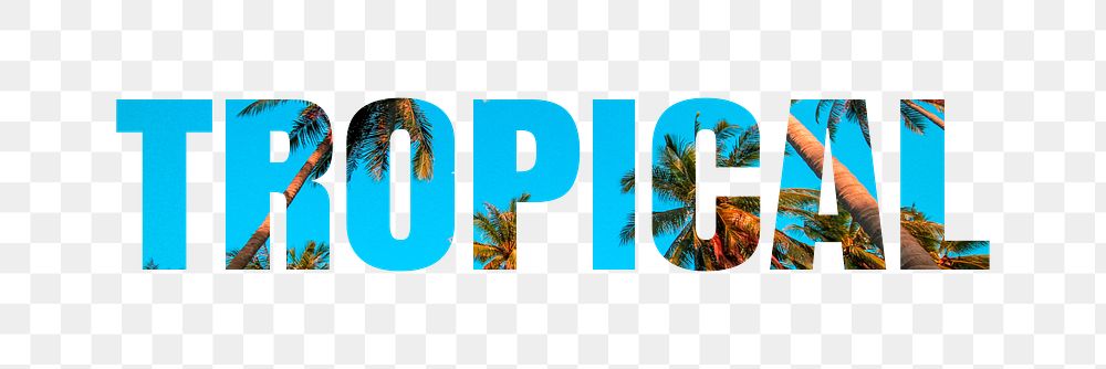 Tropical png typography, beach island palm trees, transparent background
