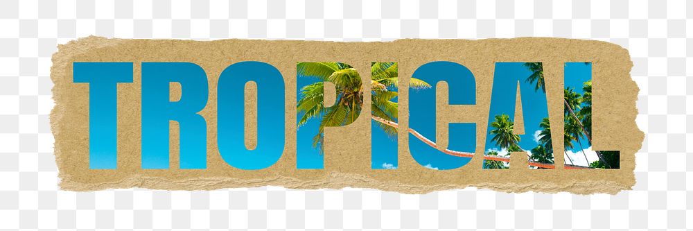 Tropical png sticker, summer island palm tree, ripped paper in transparent background