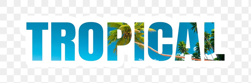 Tropical png sticker, summer island palm tree, transparent background