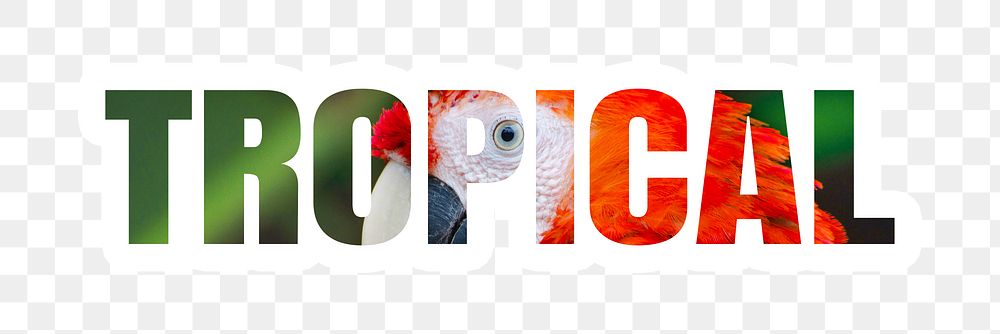Tropical png typography, wild jungle bird, transparent background