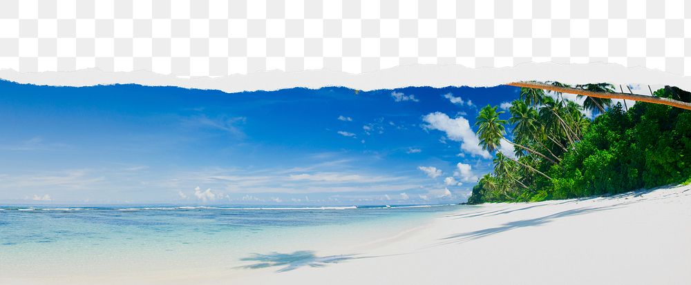 Tropical beach png ripped paper border, transparent background