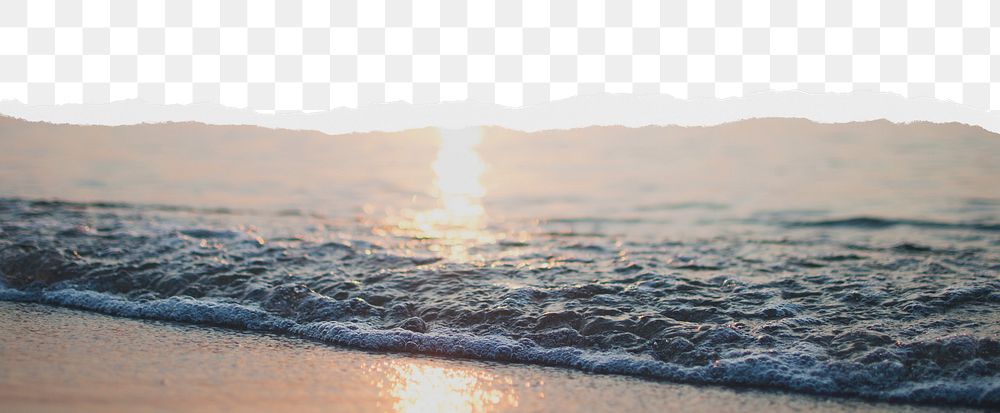 Beach wave png ripped paper border, transparent background