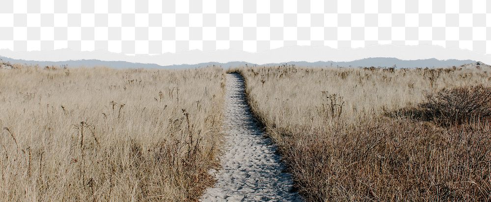 Sand path png ripped paper border, transparent background