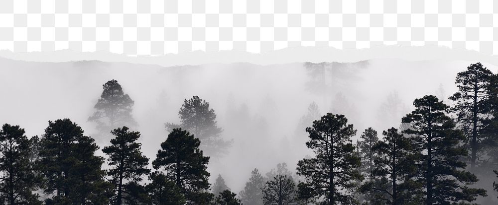 Forest png ripped paper border, transparent background