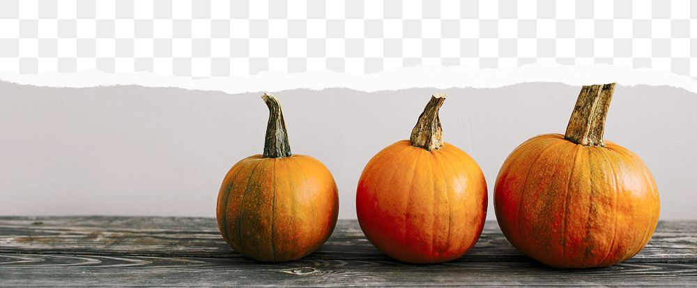 Autumn pumpkins png, ripped paper border, transparent background