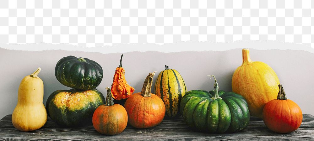 Autumn gourds png, ripped paper border, transparent background