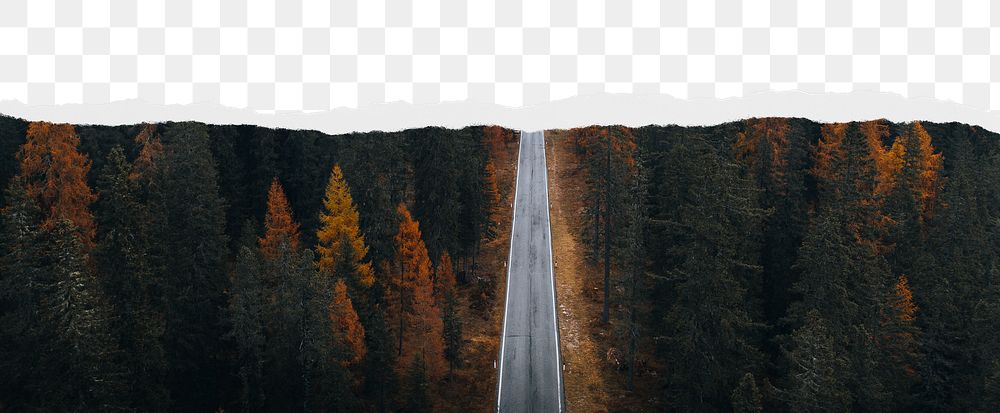 Forest road png ripped paper border, transparent background