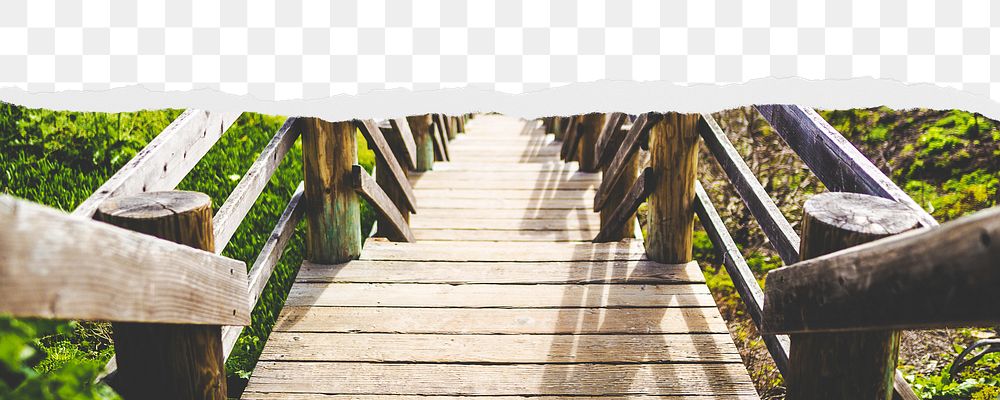 Wooden path png ripped paper border, transparent background