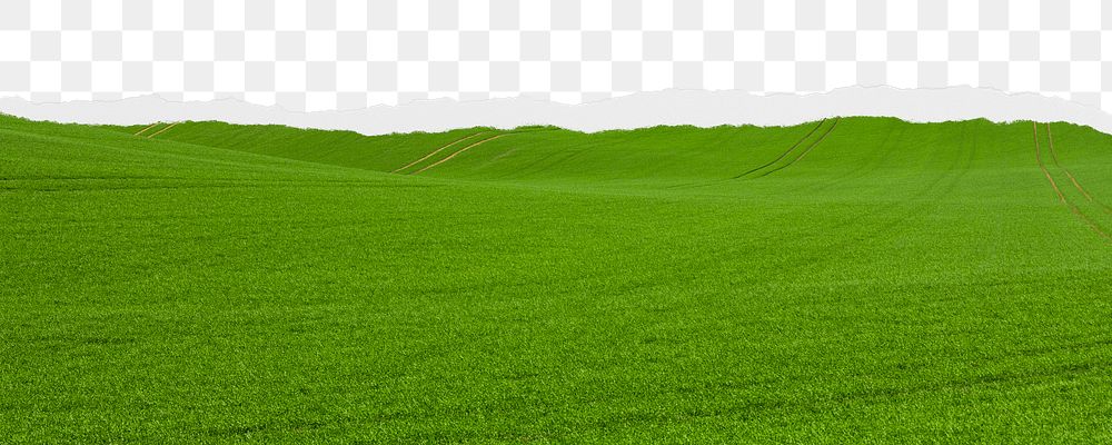 Green field png ripped paper border, transparent background