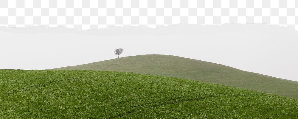 Green hills png ripped paper border, transparent background