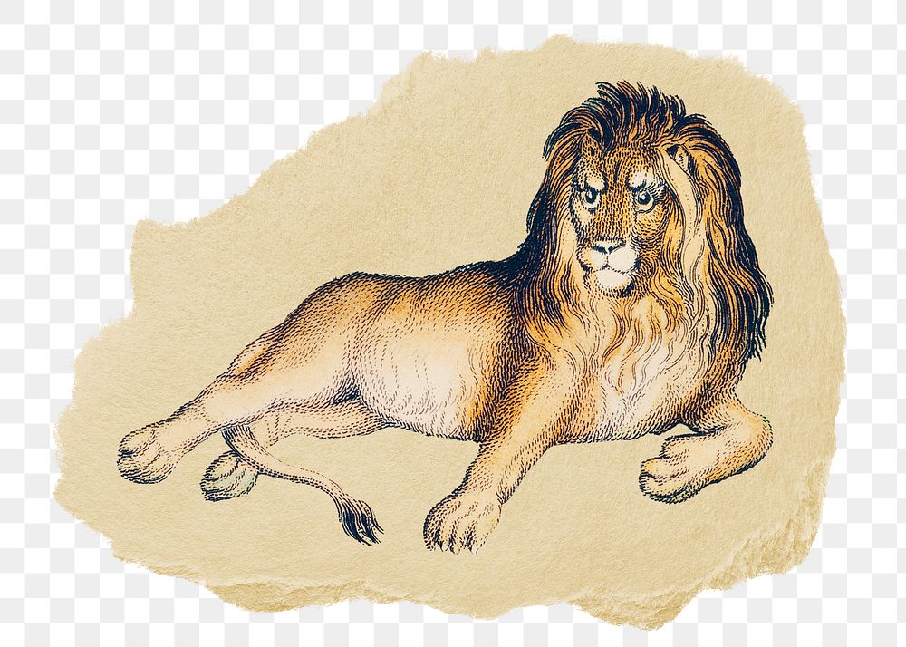 Png lion sticker, Oliver Goldsmith's vintage illustration on ripped paper, transparent background