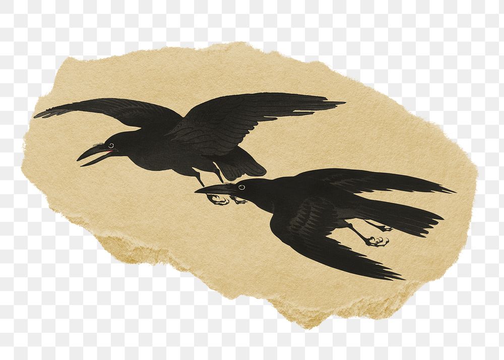 Png Crow sticker, Ohara Koson's vintage illustration on ripped paper, transparent background