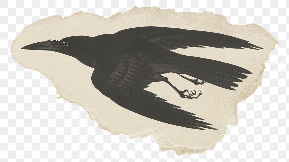 Png Crow sticker, Ohara Koson's vintage illustration on ripped paper, transparent background