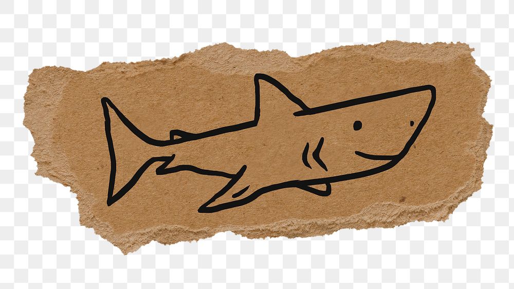 Cute shark png sticker, ripped paper doodle, transparent background