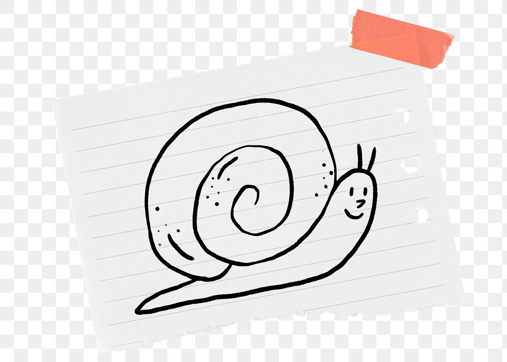 Cute snail png sticker, stationery paper doodle, transparent background