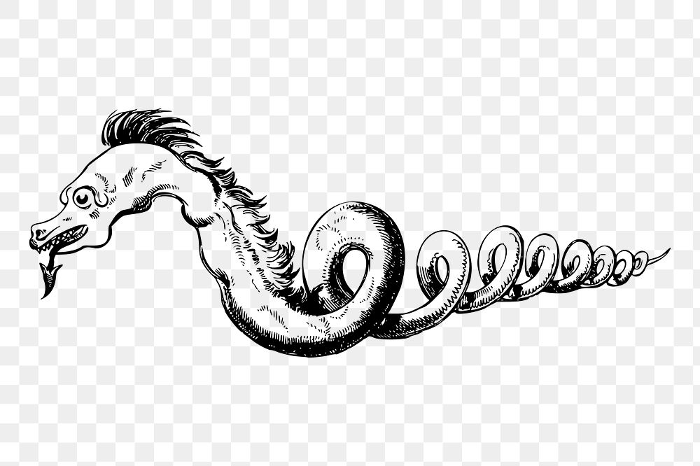 Snake dragon png sticker, vintage magical creature illustration, transparent background. Free public domain CC0 image.