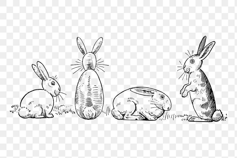 Easter bunnies png sticker illustration, transparent background. Free public domain CC0 image.