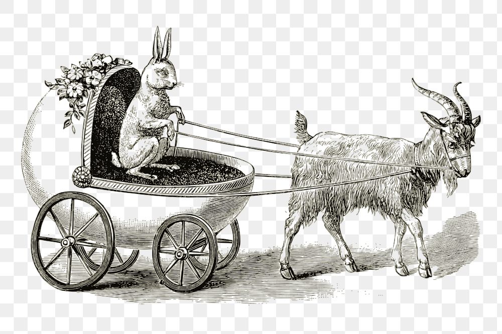 Easter carriage  png sticker, vintage illustration, transparent background. Free public domain CC0 image.