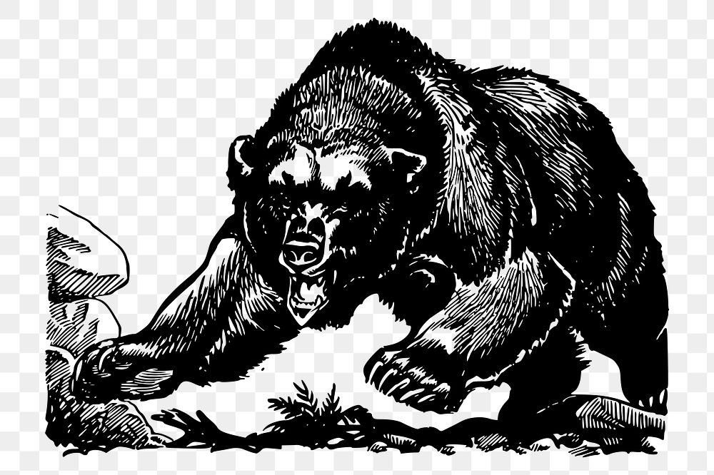 Grizzly png sticker illustration, transparent background. Free public domain CC0 image.