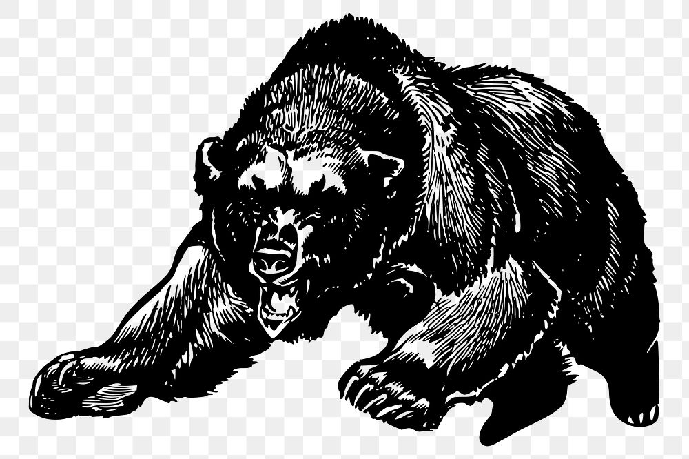 Grizzly png sticker illustration, transparent background. Free public domain CC0 image.