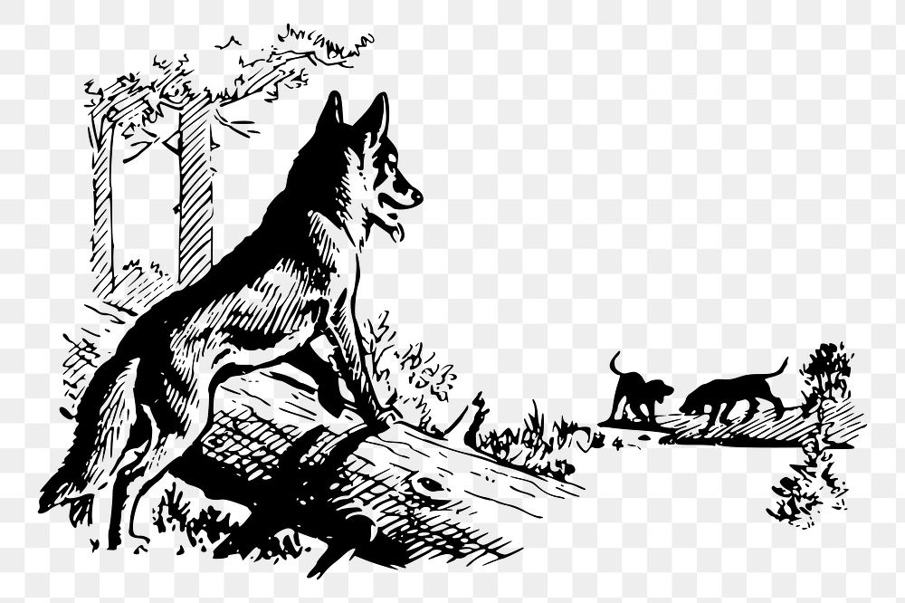 Fox & dogs png sticker illustration, transparent background. 