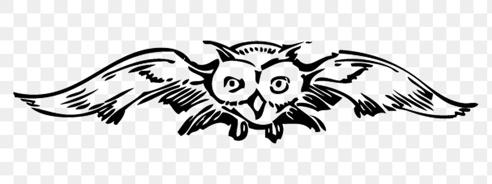 Flying owl png sticker illustration, transparent background. Free public domain CC0 image.