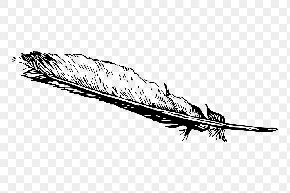 Feather Quill Pen Images  Free Photos, PNG Stickers, Wallpapers