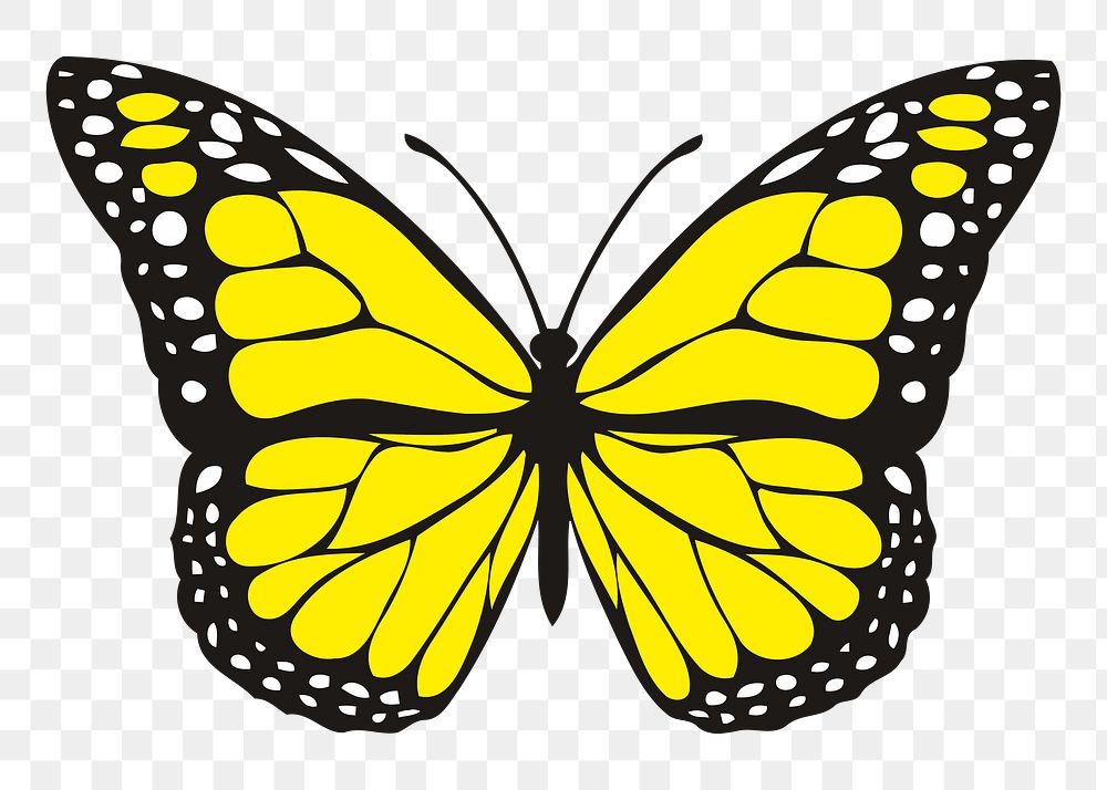 Yellow butterfly png sticker, animal illustration, transparent background. Free public domain CC0 image