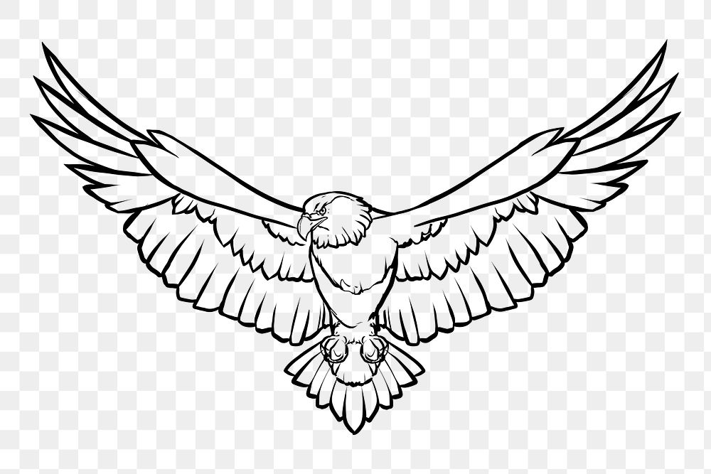 Flying eagle png sticker, transparent background. Free public domain CC0 image.