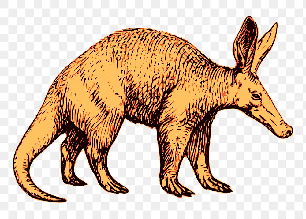 Aardvark png sticker, transparent background. Free public domain CC0 image.