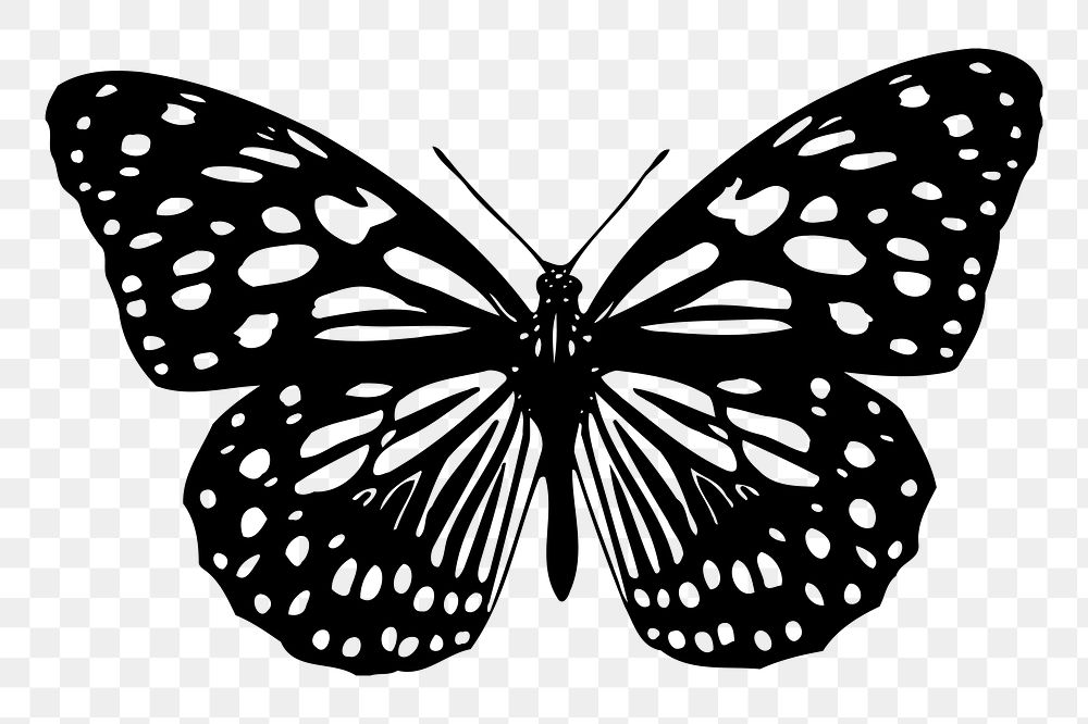 Black butterfly png sticker, transparent background. Free public domain CC0 image.