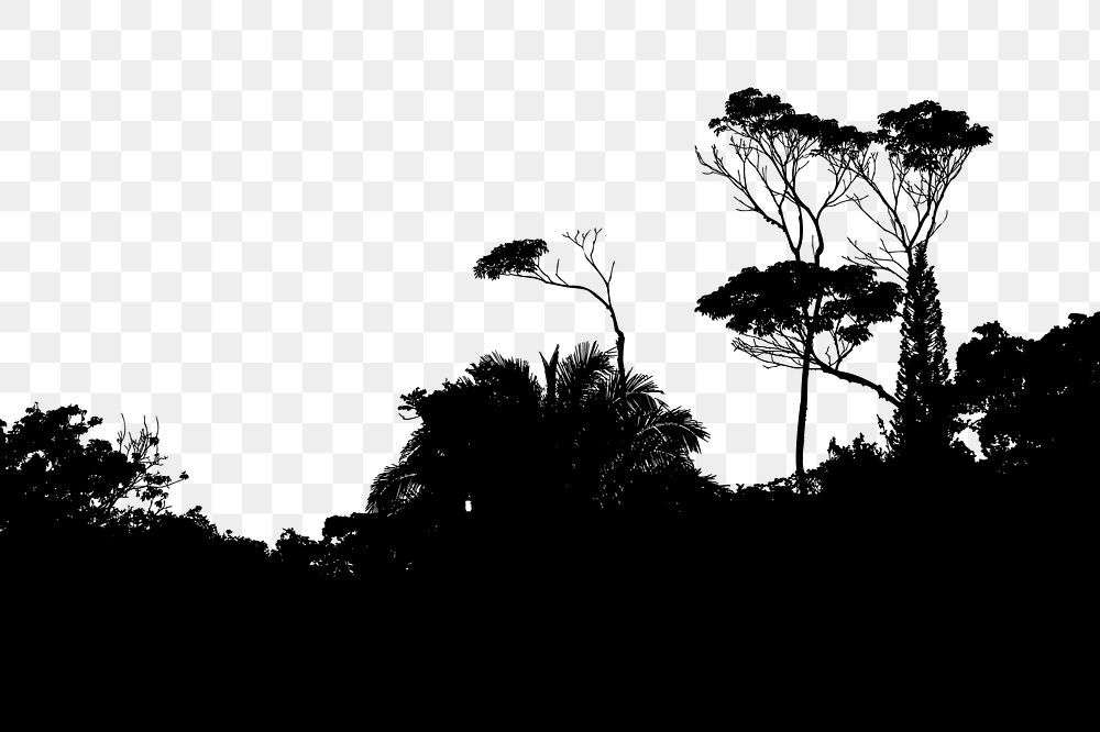 Tree silhouette png border, botanical illustration, transparent background. Free public domain CC0 image